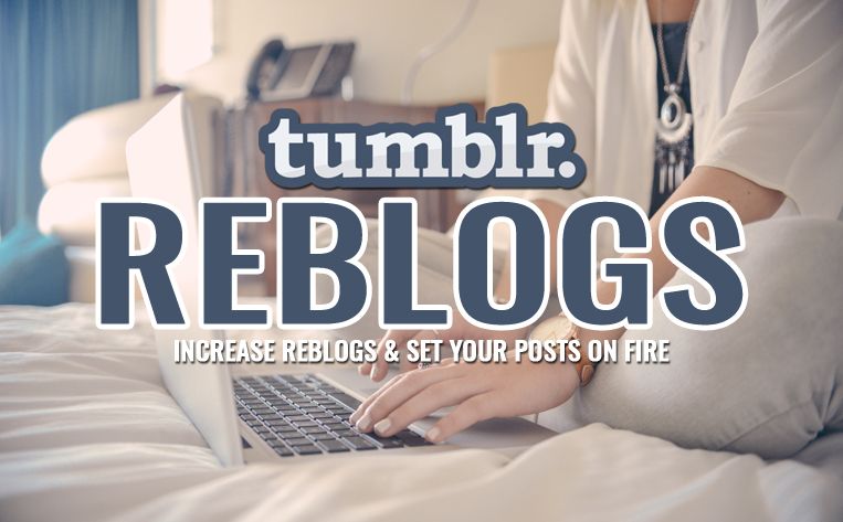 buy tumblr reblogs