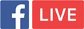 100 FB Live Stream Views